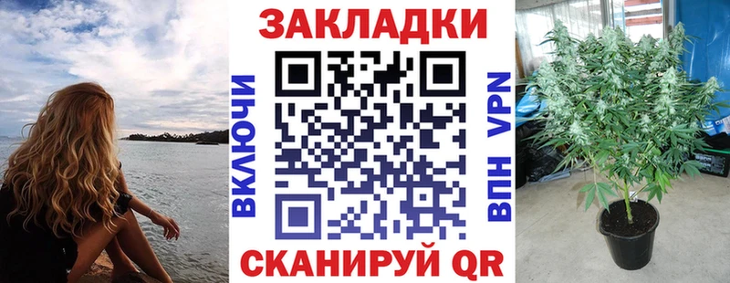 Купить наркоту Мосальск Псилоцибиновые грибы ТГК МЕФ ГАШИШ Бошки Шишки