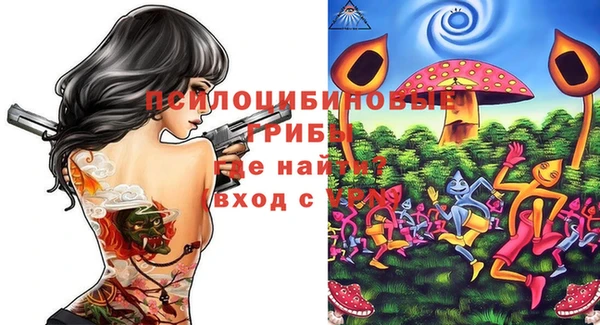 ГАЛЛЮЦИНОГЕННЫЕ ГРИБЫ Богородицк