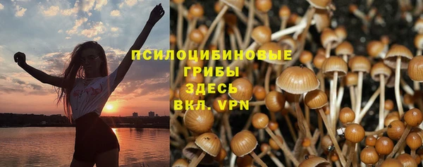 дурь Бугульма
