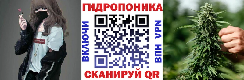 как найти   маркетплейс официальный сайт  Бошки марихуана White Widow  Мосальск 